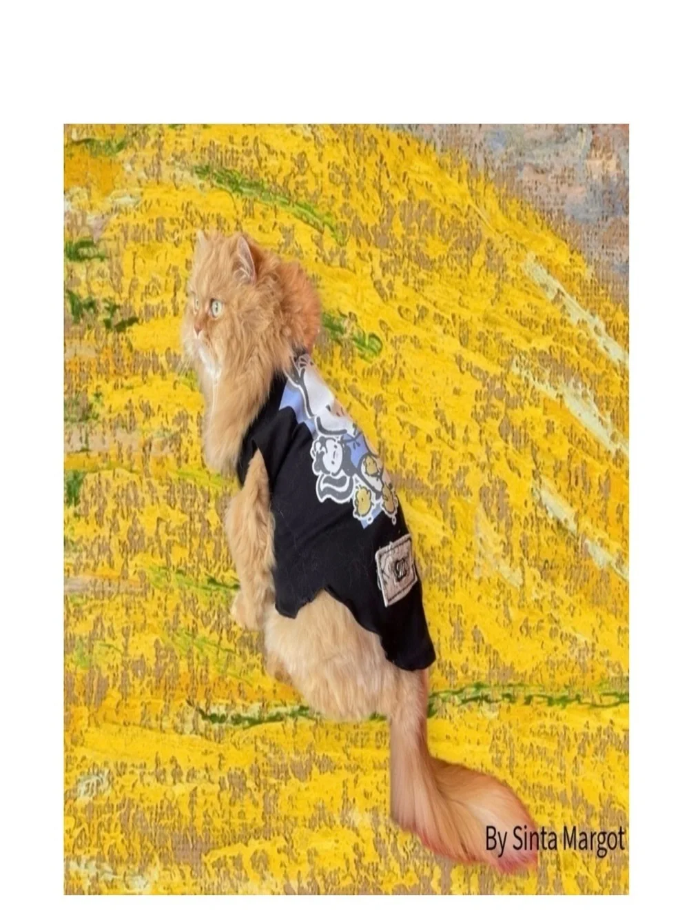 Digital print and photography by me if my Persian cat NWT as a print